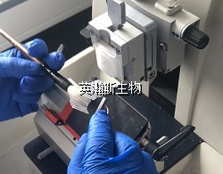 切片機_wm.jpg