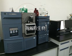 質(zhì)譜儀_wm.jpg