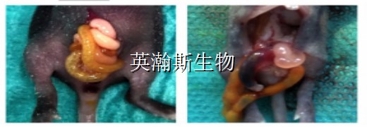 圖片1_wm.jpg