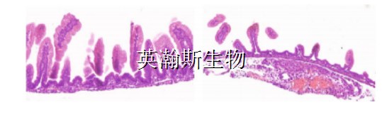 圖片2_wm.jpg
