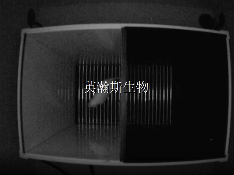避暗實(shí)驗_wm.jpg