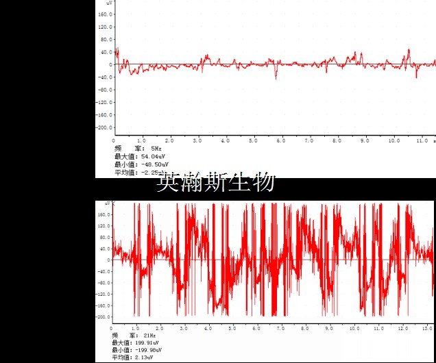 圖片1_wm.jpg