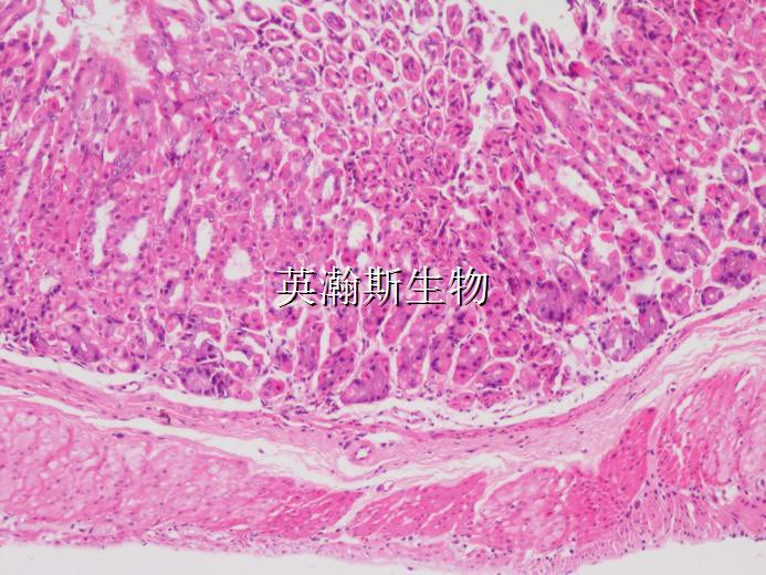 圖片3_wm.jpg