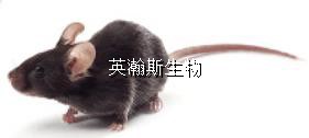 圖片1_wm.jpg