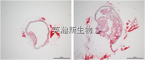 圖片4_wm.jpg