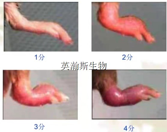 圖片1_wm.jpg
