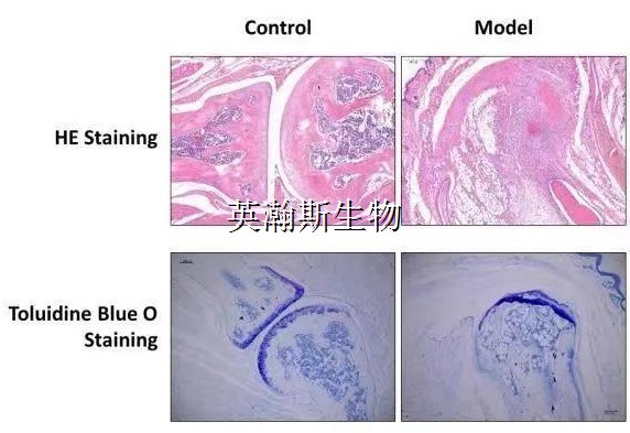 圖片2_wm.jpg