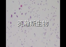 圖片1_wm.jpg