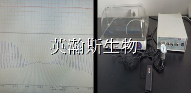 無(wú)創(chuàng  )血壓儀_wm.jpg