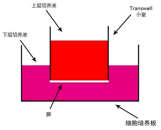 f914f09f7db14069af04149b3f130780.png