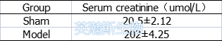 尿毒癥結果.png