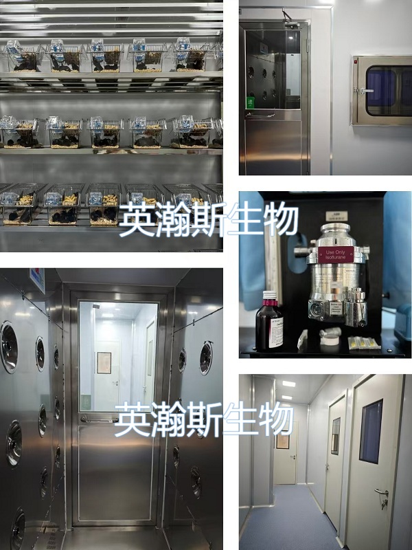 拼圖-公共實(shí)驗平臺.jpg