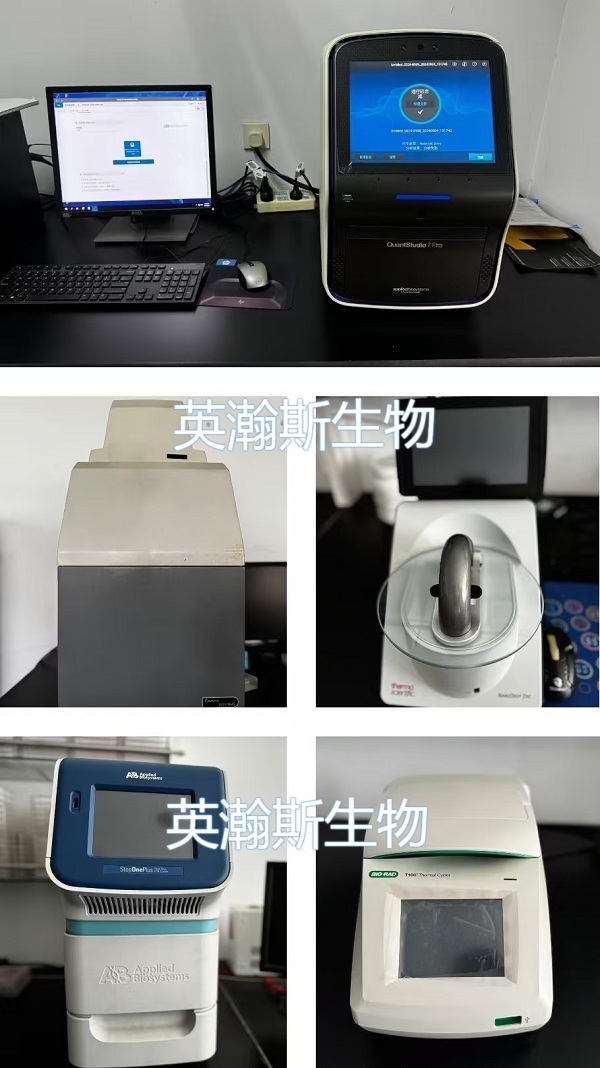 拼圖-分子檢測平臺.jpg